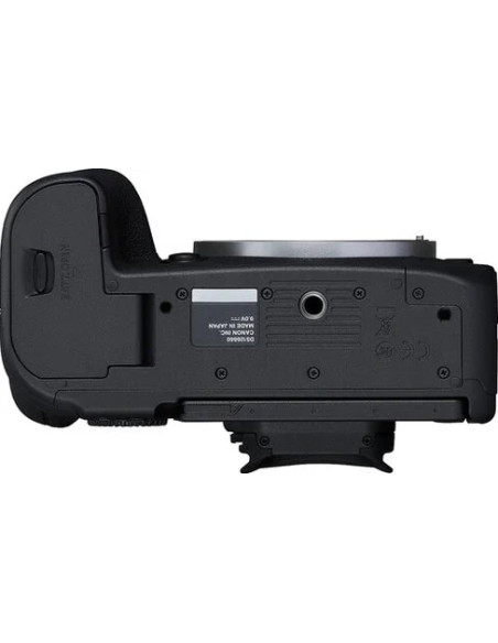 R6 Mark II + RF 24-105mm f/4 L IS USM